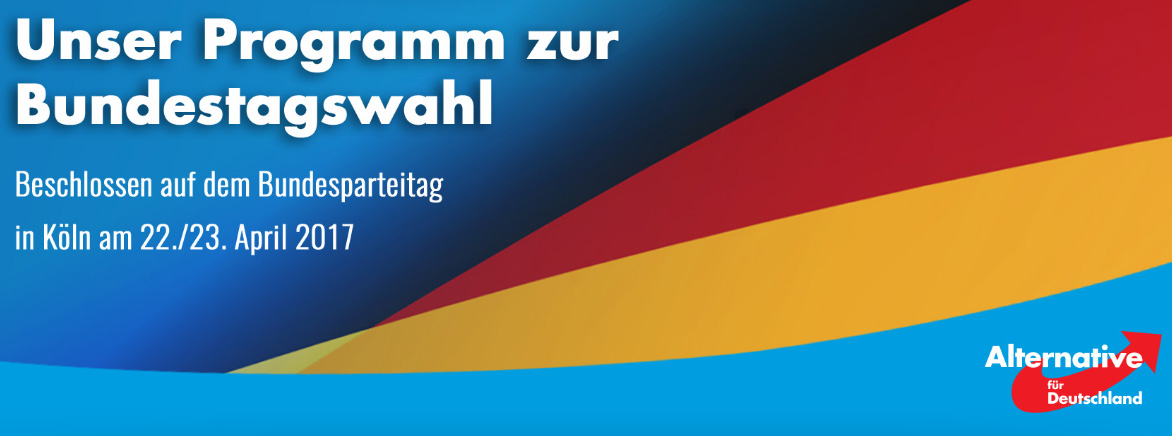AfD Wahlprogramm für die Bundestagswahl 2017, AfD-Bundestagswahlprogramm 2017